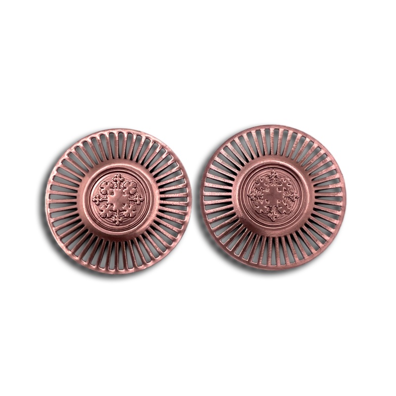 NSTAR_EAR_BRONZE_T.JPG
