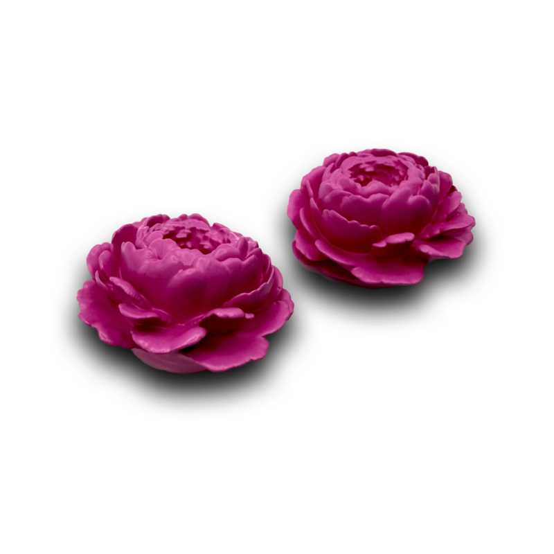 Pojeng Fuksia P.png