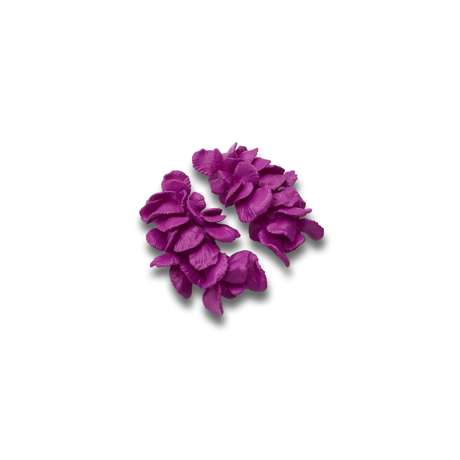 Kõrvarõngad Corall 4,9cm lilla