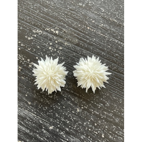 Earrings SuperNova white