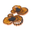 ButterFly_I_neonoranz_P.JPG