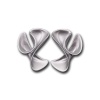 CUO_Silver_5_T.jpg