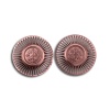 NSTAR_EAR_BRONZE_T.JPG