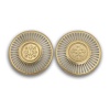 NSTAR_EAR__GOLD_T.jpg