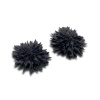 Supernova_Black_P.jpg